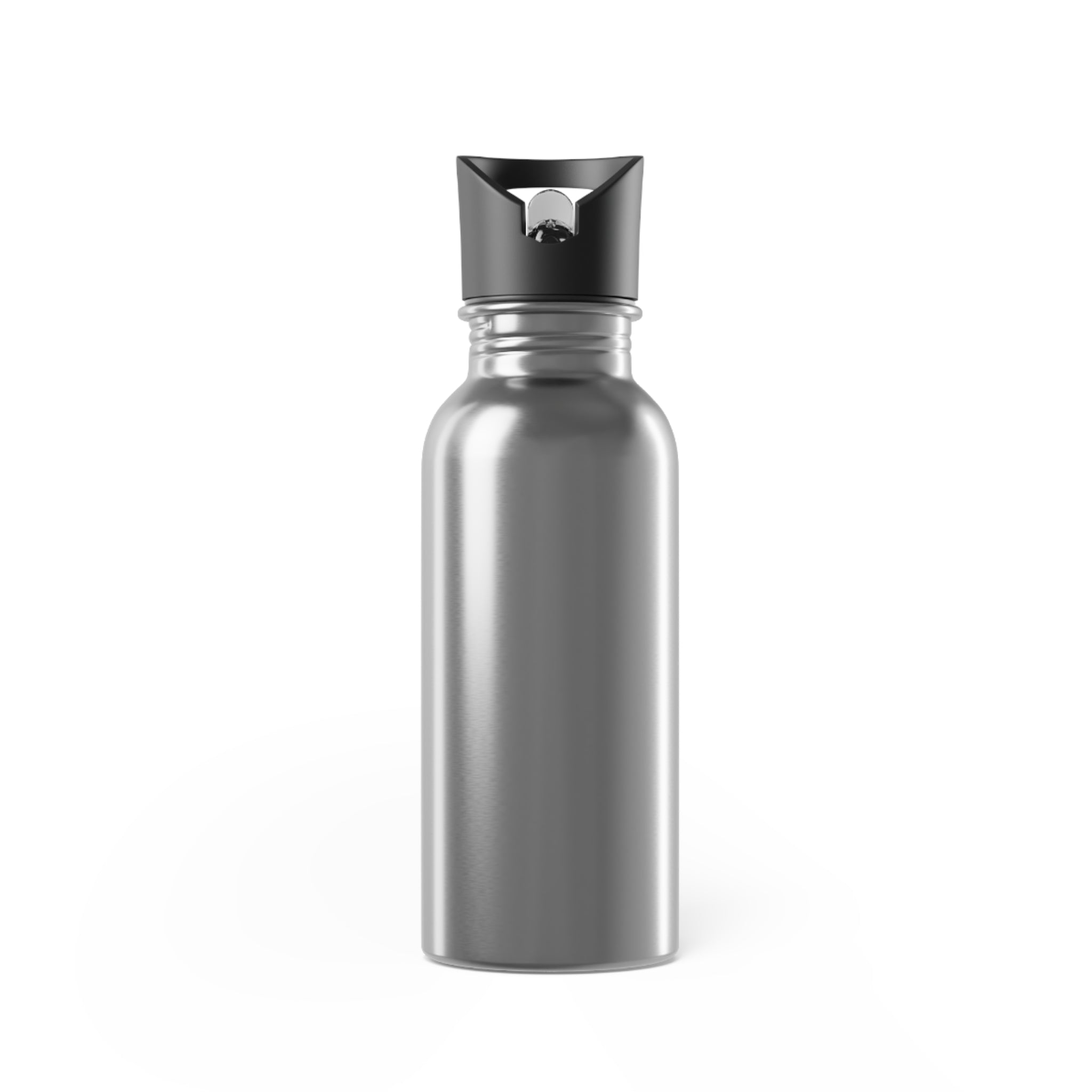 Taste the Glacier Stainless Steel Water Bottle With Straw, 20oz