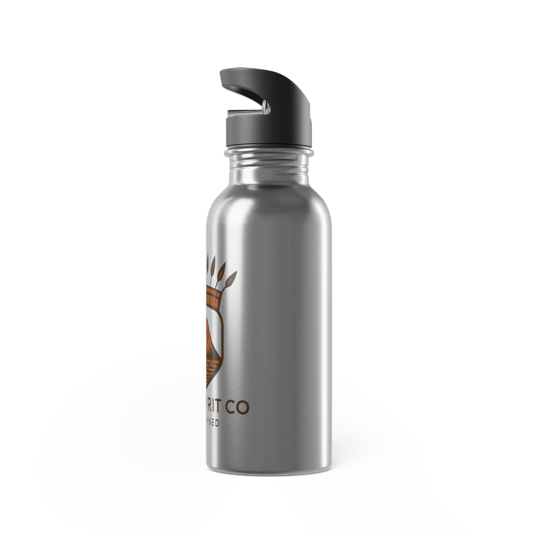 Taste the Glacier Stainless Steel Water Bottle With Straw, 20oz